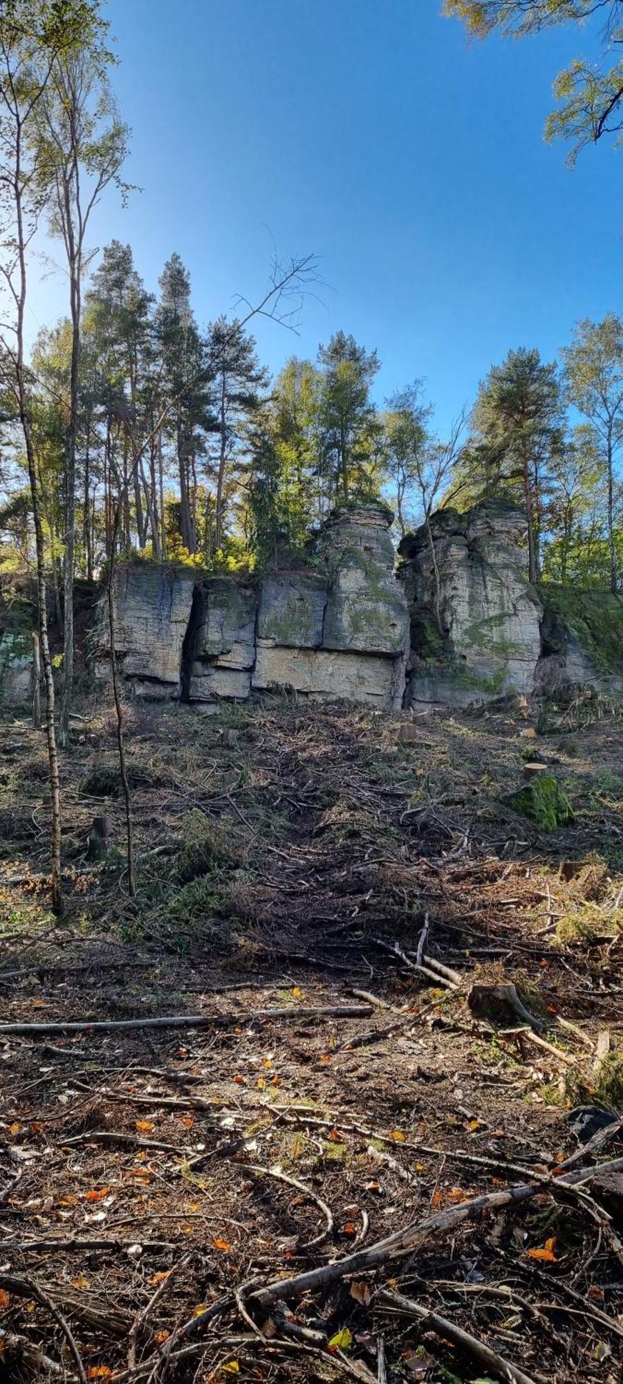 Ferienwohnung Raabsteine Bad Gottleuba Exteriér fotografie
